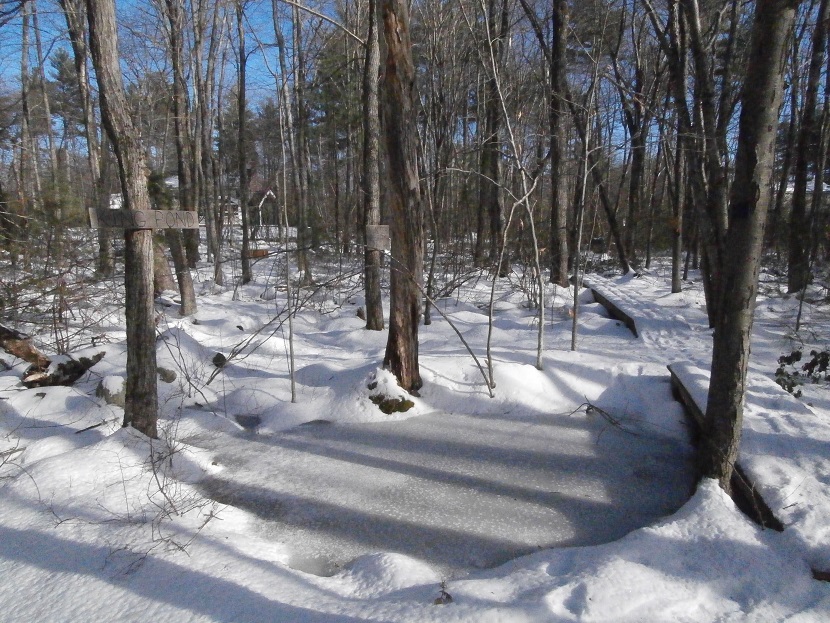 KingPondWinter